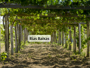 Rias Baixas (800 x 600 px)
